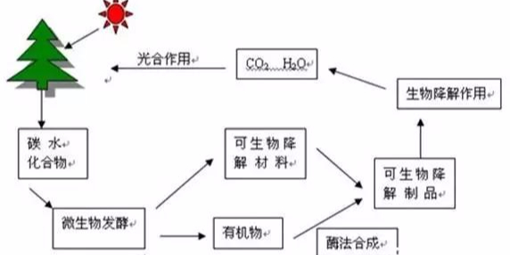 【力美新材料】可降解綠色塑料包裝？又有新發(fā)現(xiàn)...