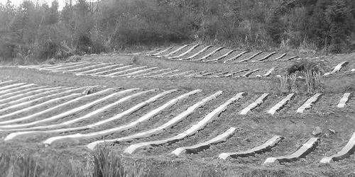 【力美新材料】可消失的生物降解地膜